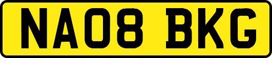 NA08BKG