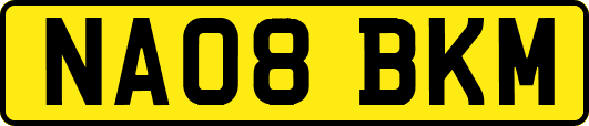 NA08BKM