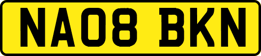 NA08BKN