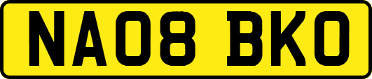 NA08BKO