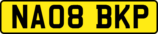 NA08BKP