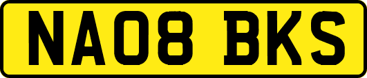 NA08BKS