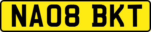 NA08BKT