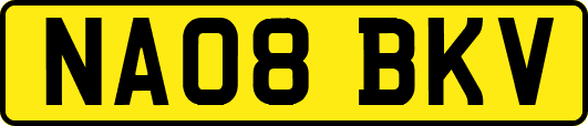 NA08BKV