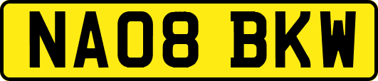 NA08BKW