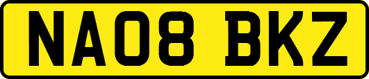NA08BKZ