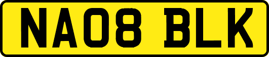 NA08BLK