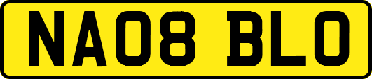 NA08BLO