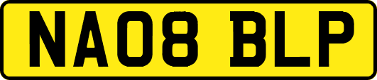 NA08BLP