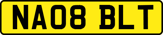 NA08BLT