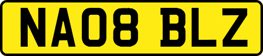 NA08BLZ