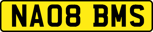 NA08BMS