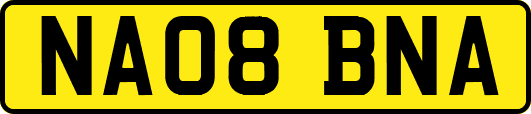 NA08BNA