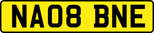 NA08BNE