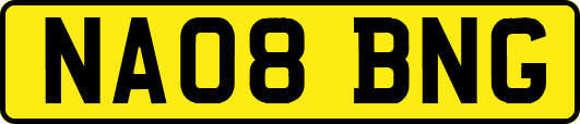 NA08BNG