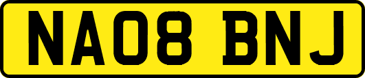 NA08BNJ
