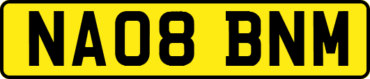 NA08BNM