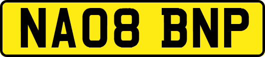 NA08BNP