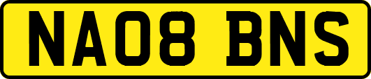 NA08BNS