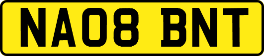 NA08BNT