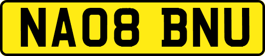 NA08BNU