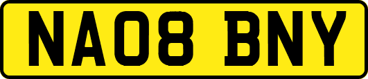 NA08BNY