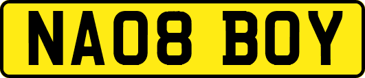 NA08BOY