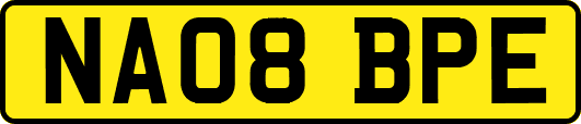 NA08BPE