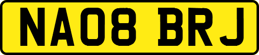 NA08BRJ