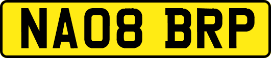 NA08BRP