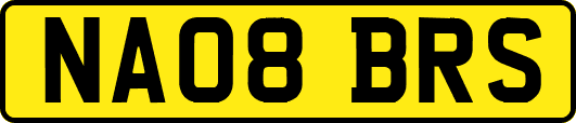 NA08BRS