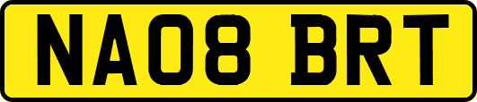 NA08BRT