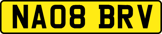 NA08BRV