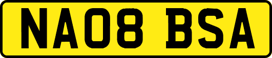 NA08BSA