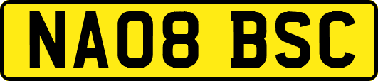NA08BSC