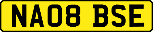 NA08BSE