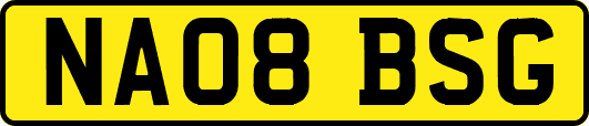 NA08BSG
