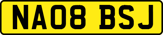 NA08BSJ