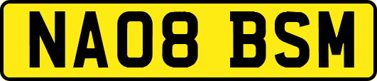 NA08BSM