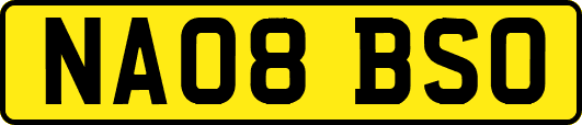 NA08BSO