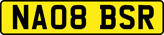 NA08BSR