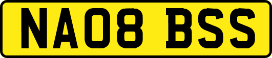 NA08BSS