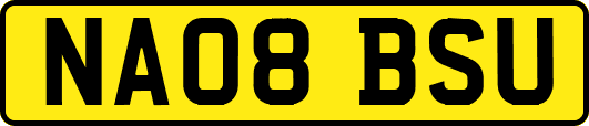 NA08BSU