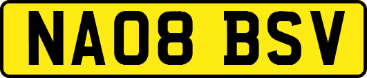 NA08BSV