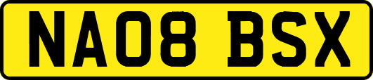NA08BSX