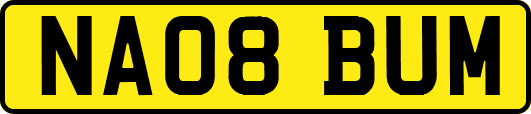 NA08BUM