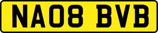 NA08BVB