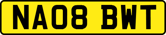 NA08BWT