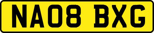 NA08BXG