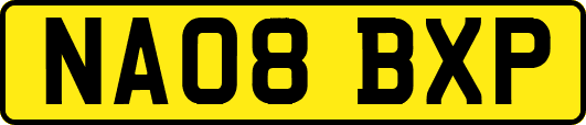 NA08BXP